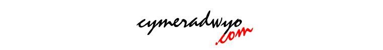 cymeradwyo.com