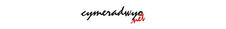 cymeradwyo.net